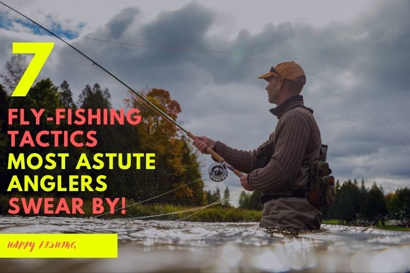 7 Fly-Fishing Tactics Most Astute Anglers Swear By!