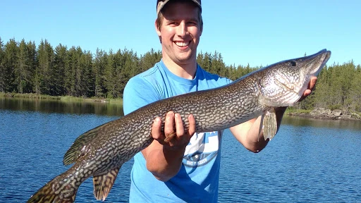 3 Pike Lures That Will Get You Bit