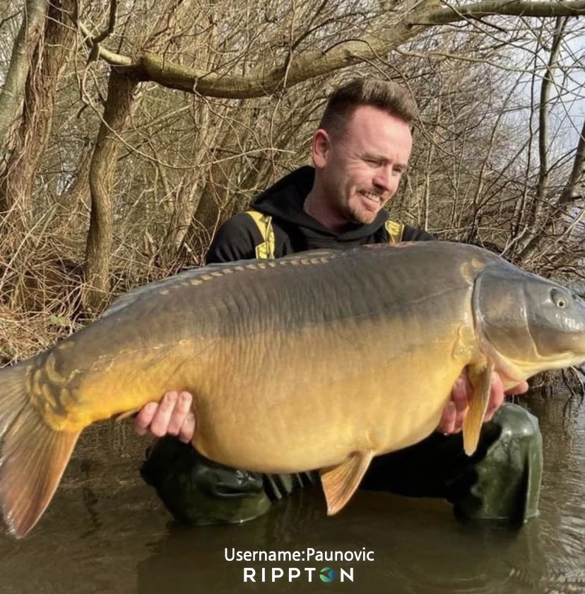 A BRIEF HISTORY OF CARP FISHING – WHY IS IT SO POPULAR?
